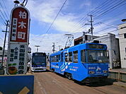 【駅】市電柏木電停まで150ｍ