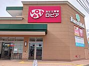 【スーパー】ロピアまで350ｍ