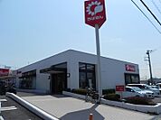 【銀行】千葉銀行　花野井支店まで600ｍ