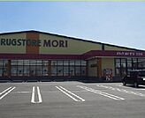 【ドラッグストア】ドラモリ江北店まで2500ｍ