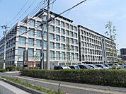【総合病院】柏たなか病院まで1300ｍ