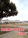 【小学校】放虎原小学校まで620ｍ