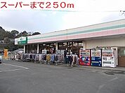 【スーパー】ダックまで250ｍ