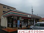 【コンビニエンスストア】コンビニまで250ｍ
