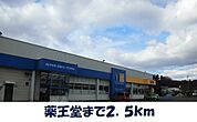 【ドラッグストア】薬王堂村崎野店まで2500ｍ