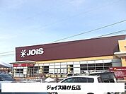 【スーパー】ジョイス盛岡緑が丘店まで650ｍ