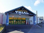【スーパー】トライアル小見川店まで1800ｍ