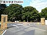 周辺：【大学】千葉大学まで640ｍ