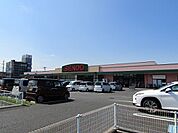【スーパー】せんどう茂原店まで350ｍ