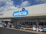 【ドラッグストア】ウエルシア木更津高柳店まで450ｍ