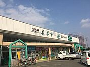 【スーパー】サニー善導寺店まで424ｍ