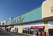 【スーパー】リオン・ドール鎌田店まで250ｍ