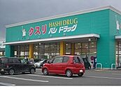 【ドラッグストア】ハシドラッグ南福島店まで600ｍ