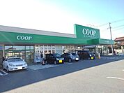 【スーパー】コープ千石センターまで550ｍ