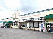 【スーパー】マルミヤストア　坂ノ市店まで650ｍ