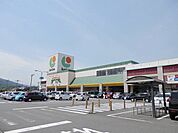 【スーパー】フリーモールわさだまで30ｍ