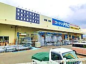 【ホームセンター】コーナンＰＲＯ和歌山インター様まで1600ｍ
