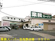 【スーパー】業務スーパー羽曳野店様まで350ｍ