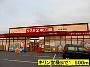 【ドラッグストア】キリン堂様までまで1500ｍ