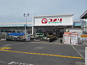 【ホームセンター】コメリハード＆グリーン御坊店様まで2000ｍ