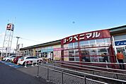 【スーパー】ヨークベニマル荒井店まで500ｍ