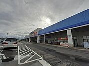 【ホームセンター】コメリパワー　新津店まで1600ｍ