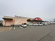 【ドラッグストア】クスリのアオキ 西本成寺店まで650ｍ