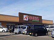 【スーパー】ナルス国府店まで1300ｍ