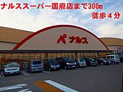【スーパー】ナルススーパー国府店まで300ｍ