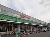 【スーパー】サンキュー小林店まで500ｍ
