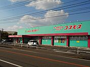 【ドラッグストア】コスモスつきどの店まで1100ｍ