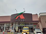 【スーパー】Ａコープ鹿児島国分西店まで800ｍ