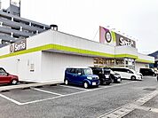 セリア富士松岡店まで500ｍ