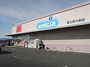 【ドラッグストア】ウエルシア　富士宮小泉店まで1200ｍ