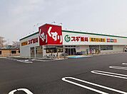 【ドラッグストア】スギ薬局　柏森駅南店まで600ｍ