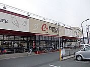 【スーパー】遠鉄ストア掛川中央店まで800ｍ