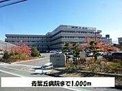 【総合病院】青葉丘病院まで1000ｍ