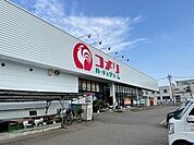 【ホームセンター】コメリまで700ｍ