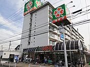 【スーパー】ライフ 忠岡店まで599ｍ