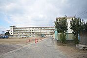 【小学校】北九州市立　曽根小学校まで900ｍ