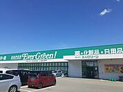【スーパー】エバグリーン泉南店様まで100ｍ