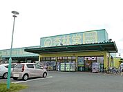 【ドラッグストア】杏林堂薬局白羽町まで350ｍ