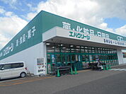 【ドラッグストア】エバグリーン御坊店様まで800ｍ