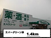 【ドラッグストア】エバーグリーン様まで1400ｍ