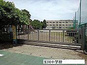 【小学校】玉川小学校まで1600ｍ