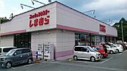 ファッションセンターしまむら様まで610ｍ