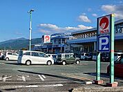 【スーパー】マルナカ新居浜本店まで600ｍ