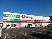 【ドラッグストア】くすりのレディ新居浜中央店まで1100ｍ