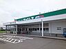 周辺：【ドラッグストア】セイムス松山インター店様まで350ｍ