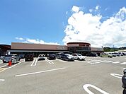 【スーパー】マルナカ 四万十店まで250ｍ